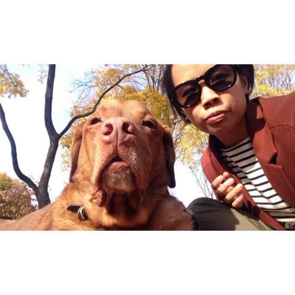 Meet your Posher, Casey